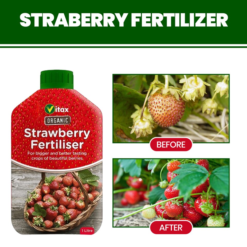 image 1 of Vitax Organic Strawberry Fertiliser 1L Liquid for Rich Flavor Bountiful Strawberries and Prolific Yields