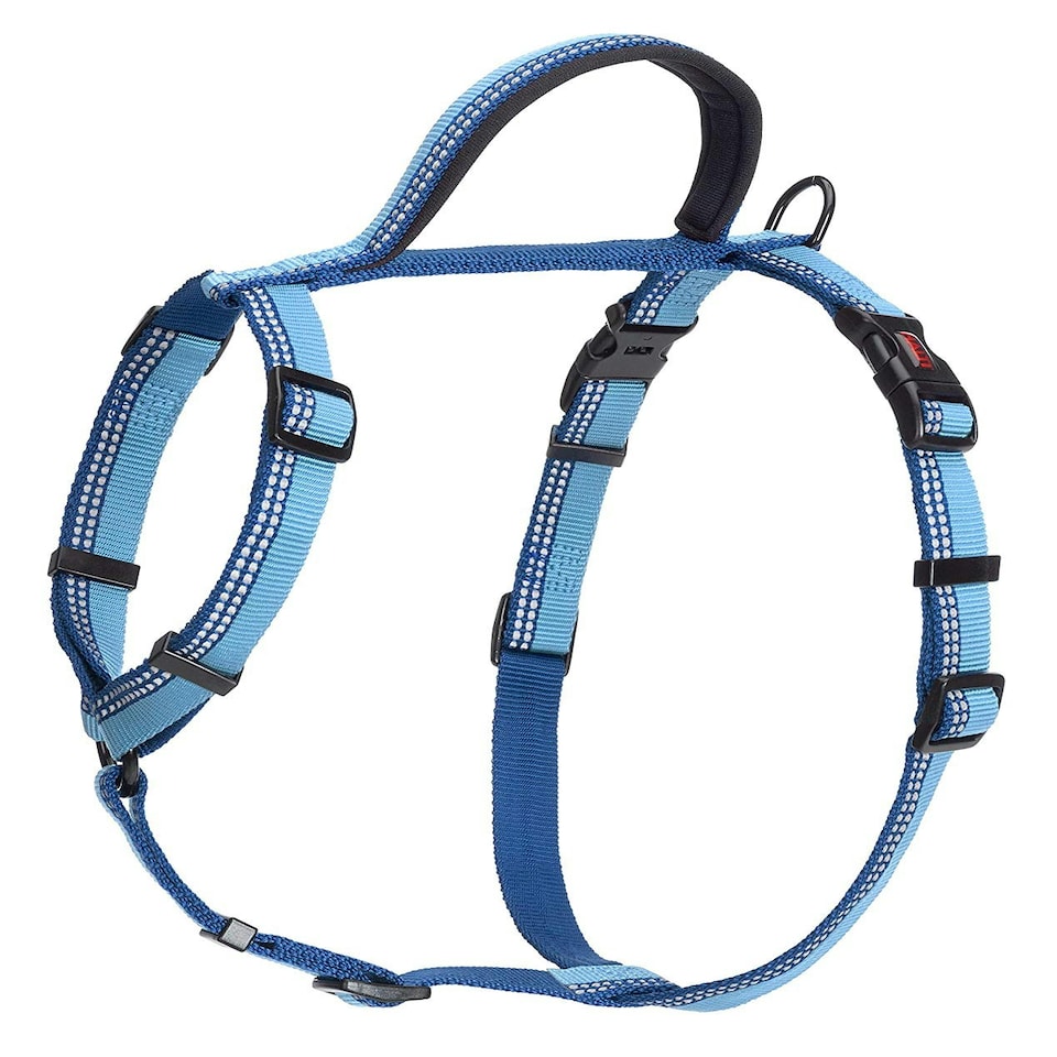 image 1 of Halti Walking Harness For Dogs  - Blue Medium