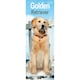 image 1 of Golden Retriever Slim 2026 Calendar | Slimline Wall Calendar | Dog Breed Gift | Plastic Free Packaging |Avonside Publishing Ltd