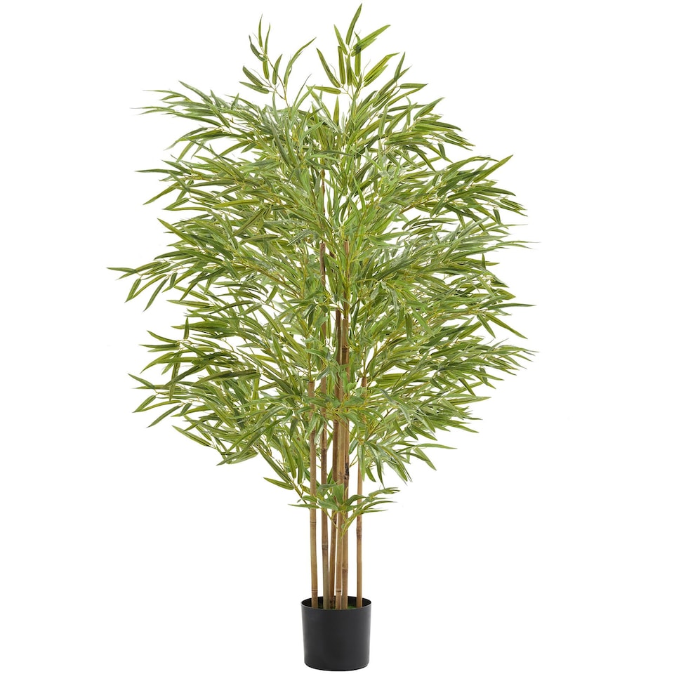 image 1 of Artificial Plant - bamboo grass, realistic look, low-maintenance | Green | green | 50 x 50 x 150 cm | 1