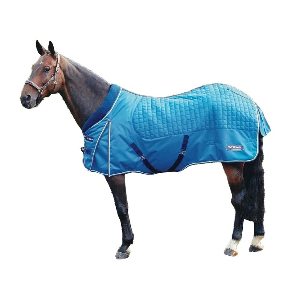 Whitaker Ottowa Roll Neck Horse Stable Rug - Blue - 5´