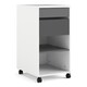 image 1 of Function Plus Mobile File Cabinet 2 Drawers 1 shelf