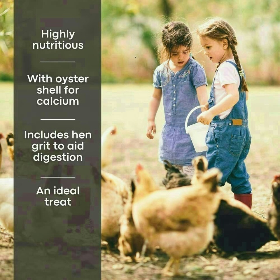 image 1 of Copdock Mill Poultry Gold Chicken Feed 20kg Highly Nutritious Premium Chicken Food  Contains Layers Pellets Chicken Grit & Oyster Shells for Chickens