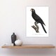 image 4 of The Greater Vasa Parrot Francois Levaillant Huge Wall Art Print 18X24 In