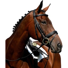 Collegiate Syntovia+ Padded Raised Flash Bridle - Brown - Warmblood