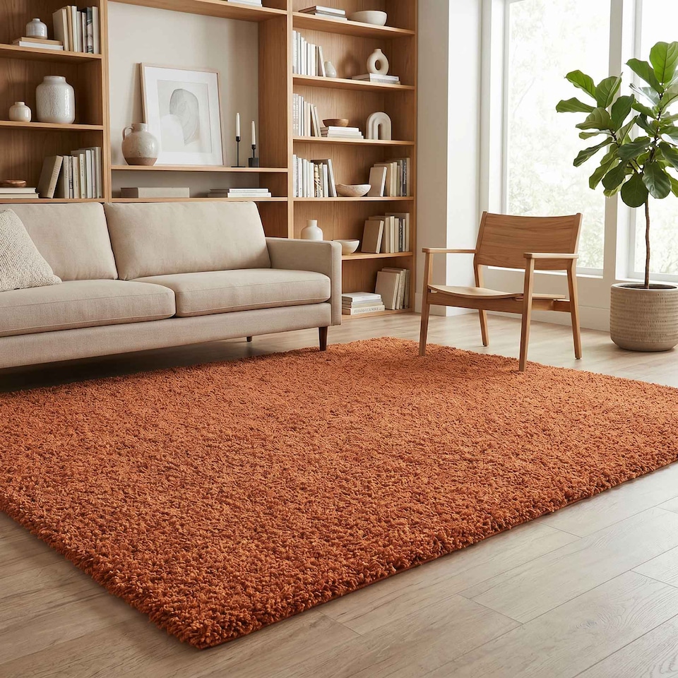 image 1 of Desire Rugs Ainsley Plain Living Room Shaggy Area Rug