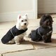 image 2 of Dog Raincoat, Sherpa Fleece Black | XXL