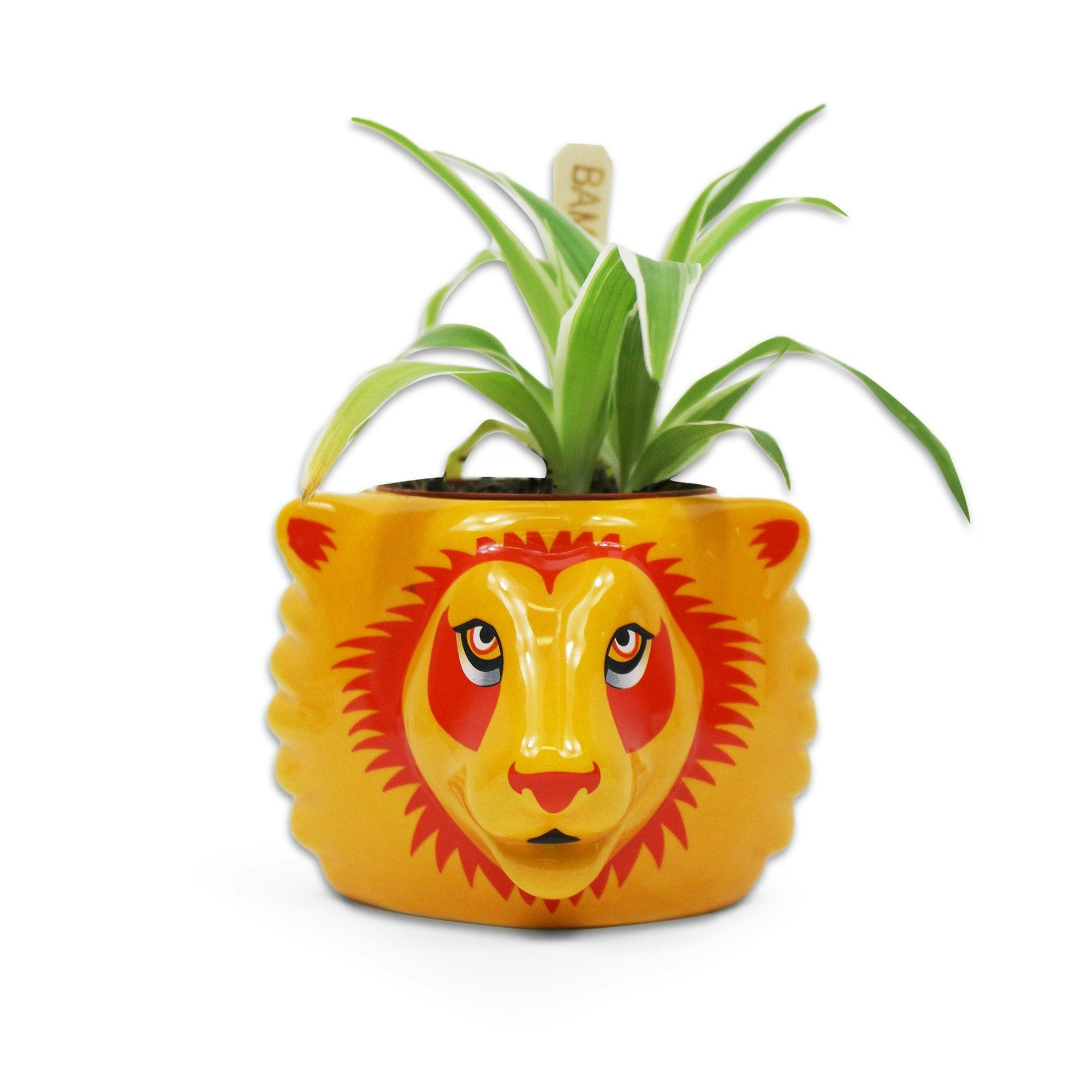 Harry Potter Gryffindor Plant Pot in Yellow