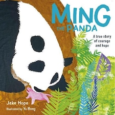 Ming the Panda Paperback Book