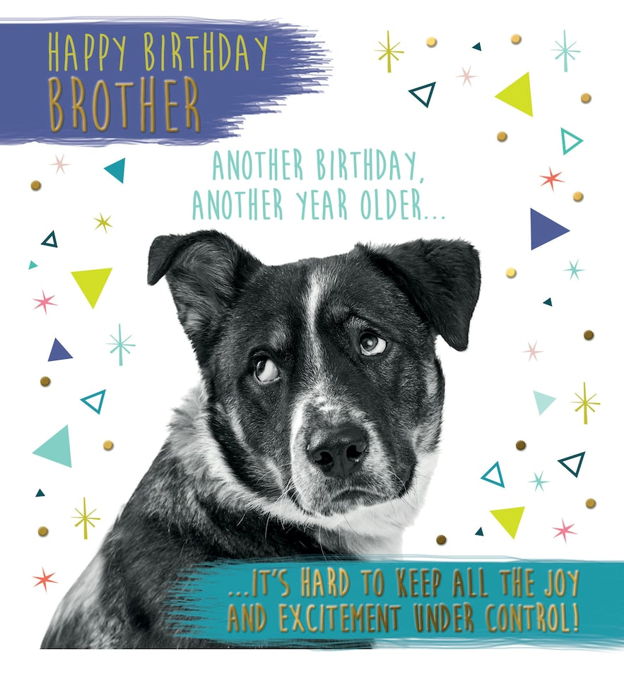 image 1 of It's Hard To Keep All The Joy And Excitement Under Control... - Funny Brother Birthday Card