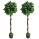 image 2 of Pair of 120cm (4ft) Twist Natural Artificial Topiary Bay Laurel Ball Trees | Green | 4ft