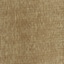 Col 9885