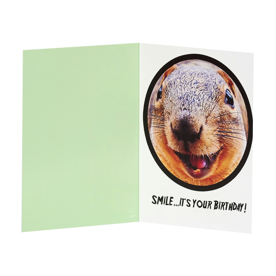 image 1 of Humour Birthday Card - Squirrel In Camera
