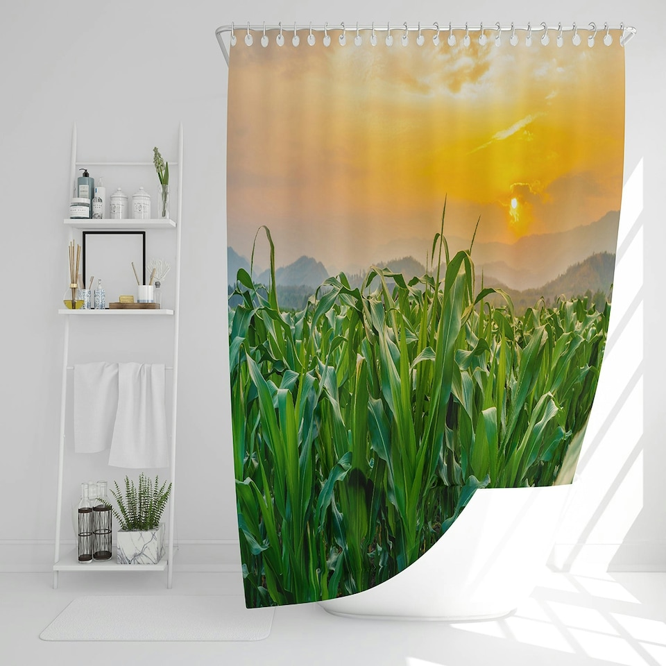 image 1 of green corn field in agricultural garden and light shines sunset (Shower Curtain)