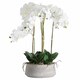 image 1 of Large Orchid in Stone Pot Artificial Flower - Plastic - L50 x W50 x H90 cm - White