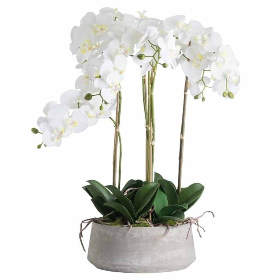 image 1 of Large Orchid in Stone Pot Artificial Flower - Plastic - L50 x W50 x H90 cm - White