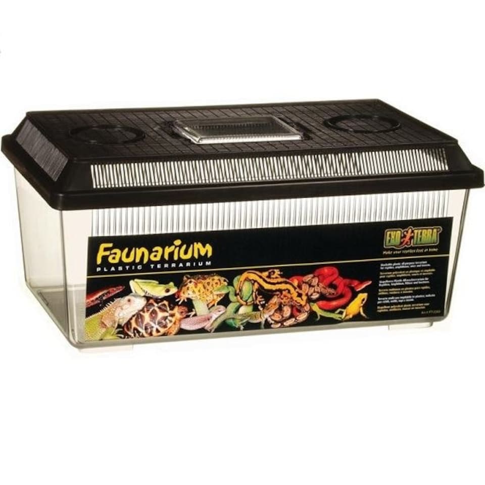 Exo Terra Flat Faunarium Medium