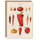 image 1 of Ernst Benary Art Card Capsicums and Chili Pepper Varieties