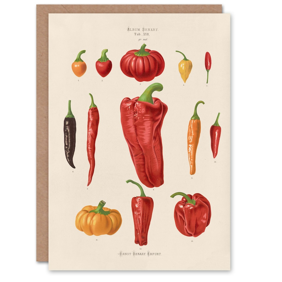 image 1 of Ernst Benary Art Card Capsicums and Chili Pepper Varieties