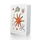 image 2 of Vintage Marine Life Art Card Deep Sea Starfish Varieties