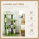 image 2 of PawHut 142cm Cat Tree with Scratch Posts Hammock Platforms Toy Balls, Green