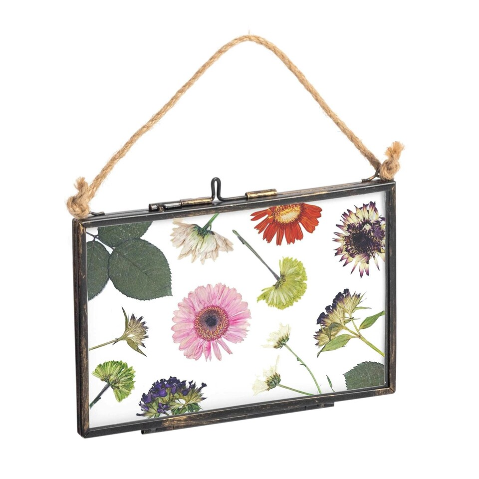 image 1 of Nicola Spring Hanging Metal Photo Frames - 6" x 4" - Black - Pack of 5 - Hanging Picture Frame Display Frame Poster Frame Picture Display | Black | S