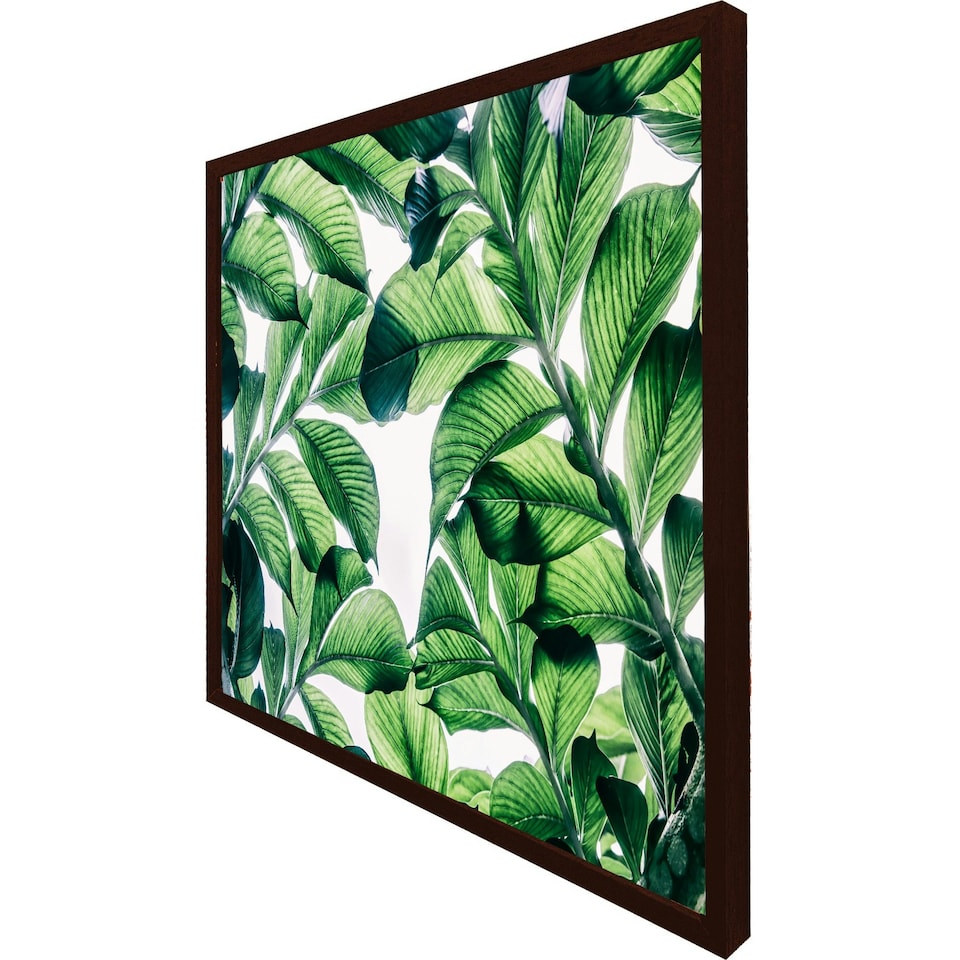 image 1 of Tropical palm (Picutre Frame) Brown | Oak | M