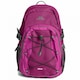 image 3 of Trespass Albus 30 Litre Casual Rucksack/Backpack | Purple | Grape Wine | One Size | 1