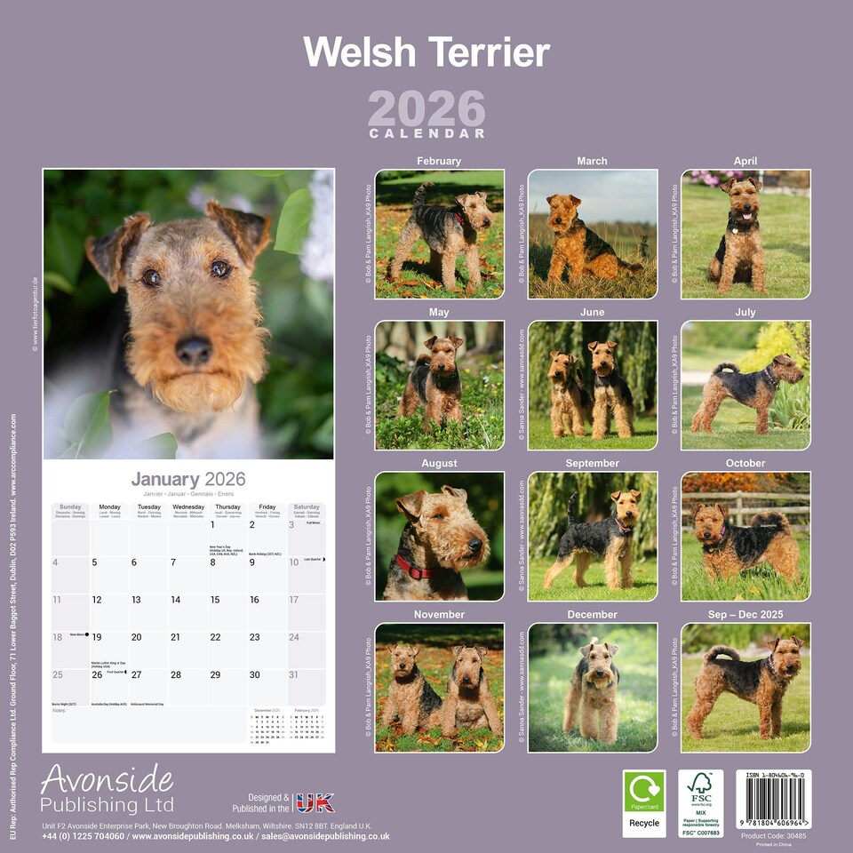 image 1 of Welsh Terrier 2026 Calendar | Square Wall Calendar | Dog Breed Gift | Plastic Free Packaging | by Avonside Publishing