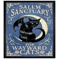 Black Wooden Framed Salem Sanctuary For Wayward Cats Maxi Poster