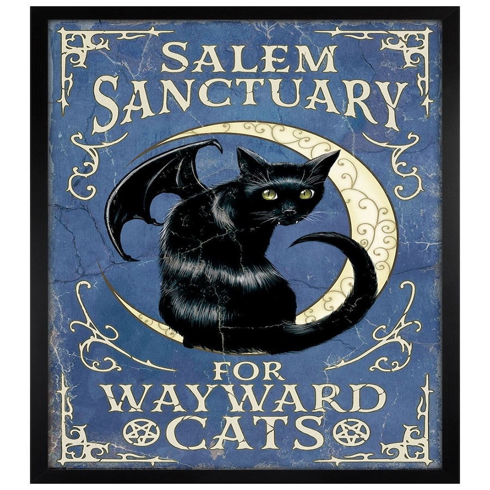 image 1 of Black Wooden Framed Salem Sanctuary For Wayward Cats Maxi Poster