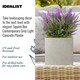 image 4 of Square Box Grey Light Concrete Garden Planter H25 L25 W25 cm, 16 ltrs Cap.