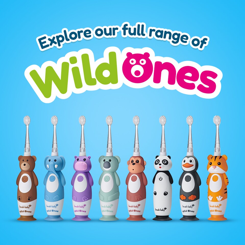 image 1 of Brush Baby WildOnes Panda Kids Electric Rechargeable Toothbrush