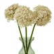 image 3 of Pink Giant Allium (Single Stem Flower) - Plastic - L21 x W21 x H90 cm - Pink