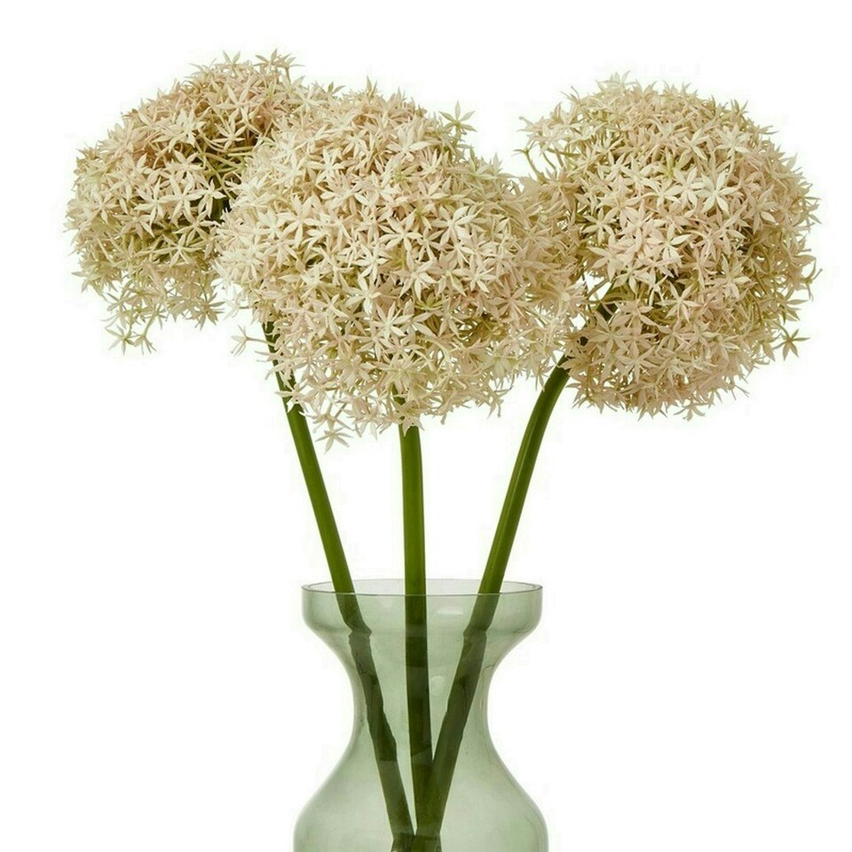 image 1 of Pink Giant Allium (Single Stem Flower) - Plastic - L21 x W21 x H90 cm - Pink