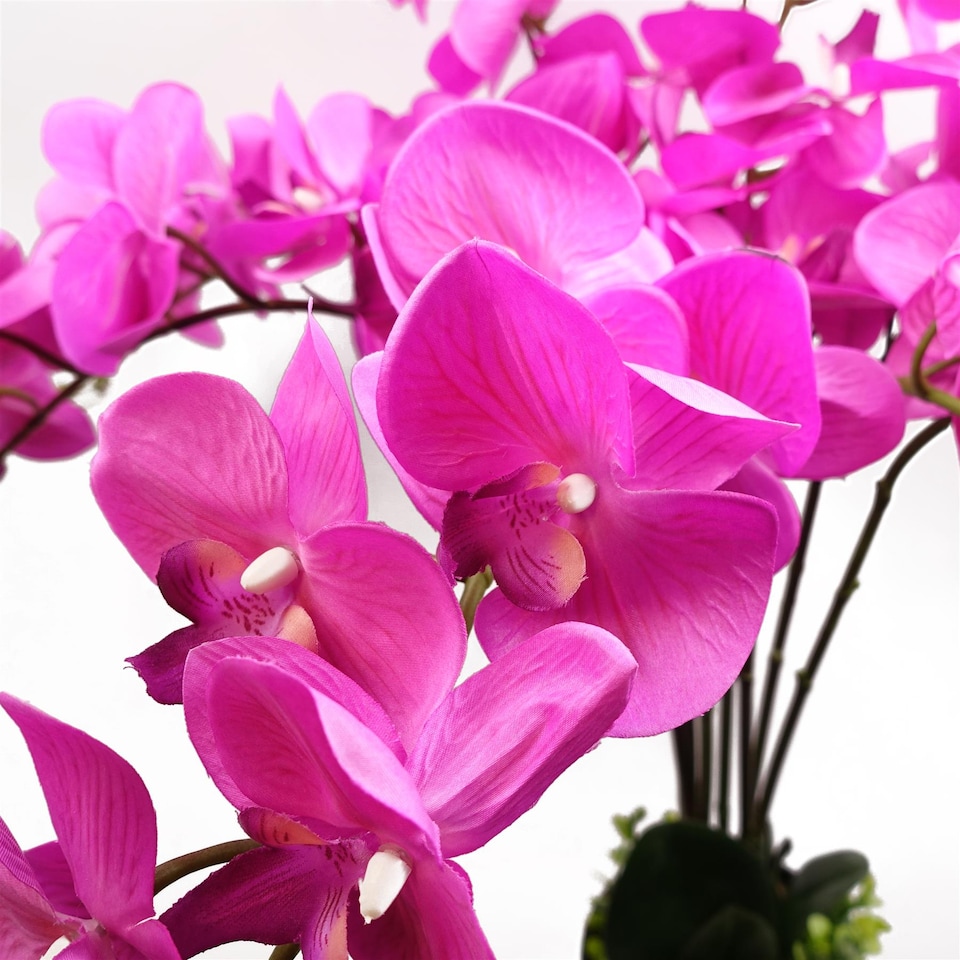 image 1 of 85cm Artificial Dark Pink Deluxe Bush Orchid - Realistic