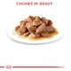 image 8 of ROYAL CANIN® Intense Beauty Care Adult Wet Cat Food N/A | Size: 12 x 85g
Texture: Jelly