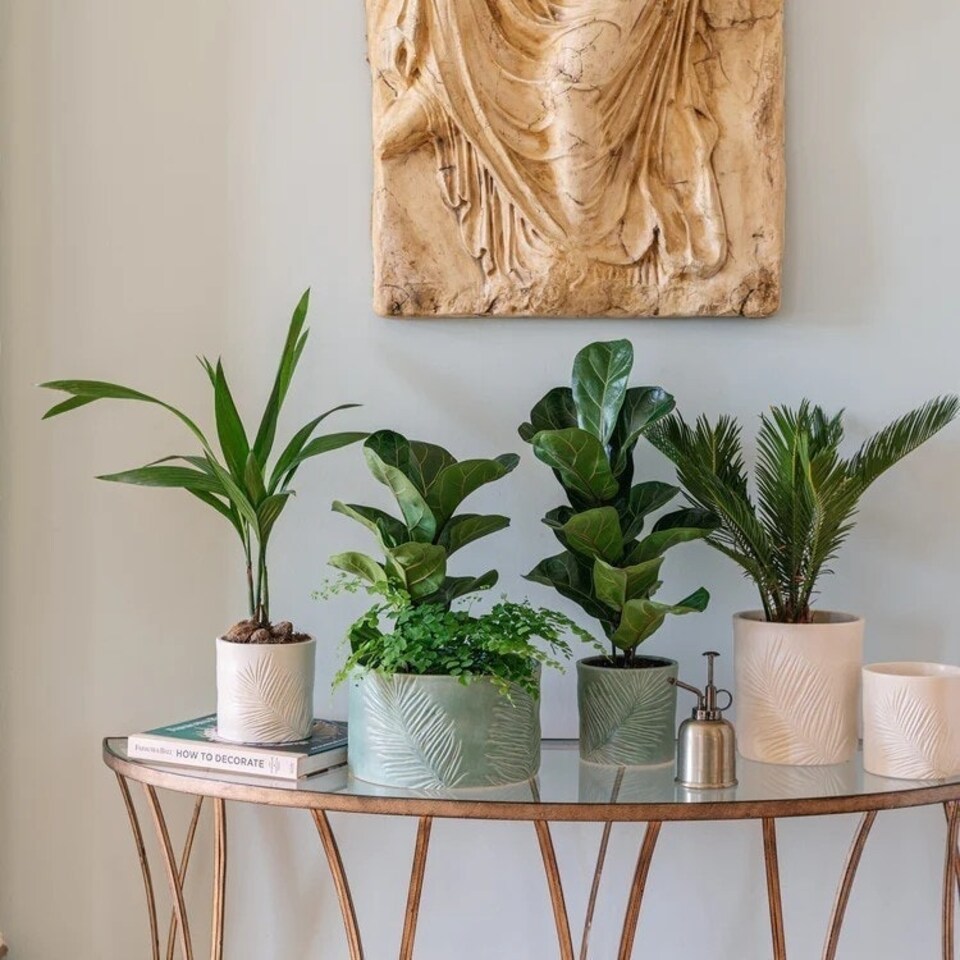 image 1 of Kew Sago Palm Planter - Stoneware - L16.5 x W15.5 x H18 cm - Ivory White