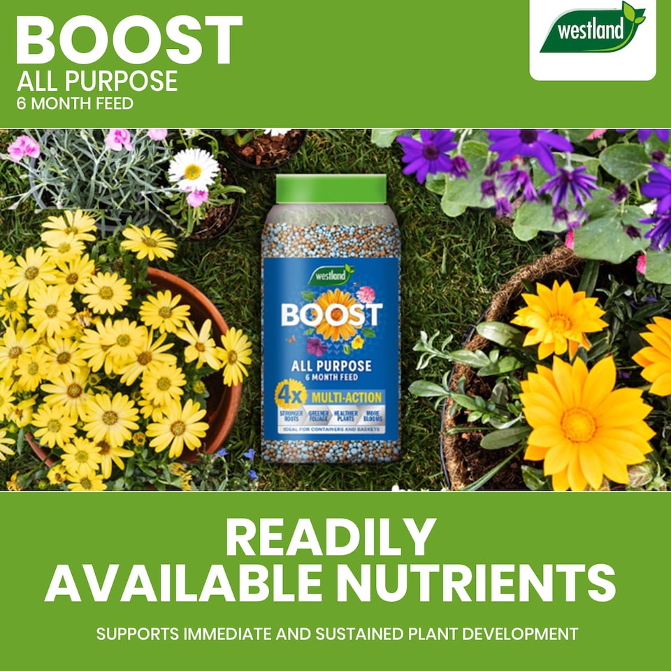image 1 of Westland Boost All Purpose Plant Food 750g Slow Release Granules 6 Month Feed for Flowers Fruits Vegetables Healthy Growth
