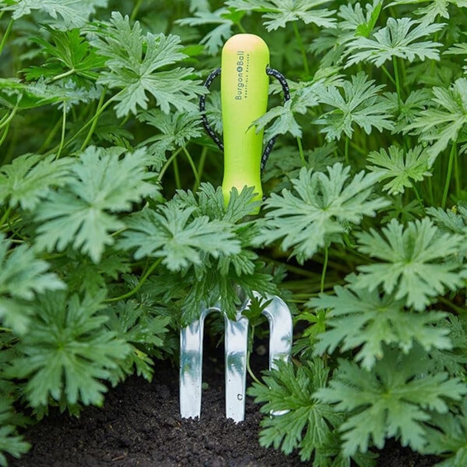 image 1 of RHS Florabrite Fluorescent Hand Fork - Yellow