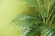 image 3 of Artificial Areca Palm Tree Potted in Black Pot 110cm Botanik | Green | 3ft