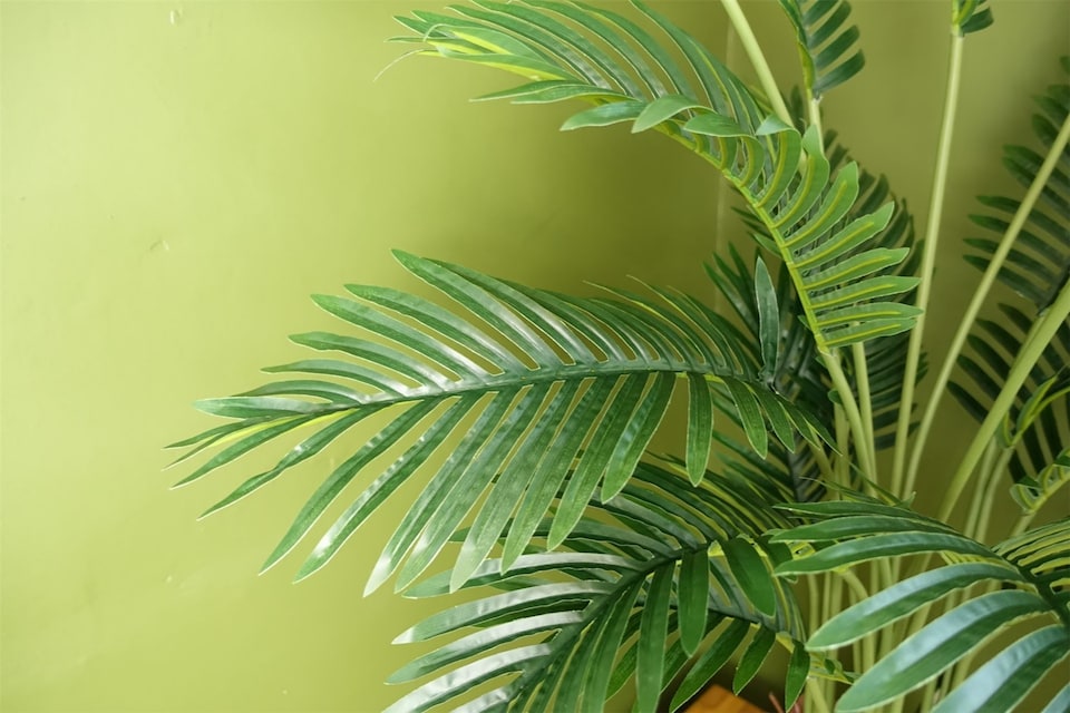 image 1 of Artificial Areca Palm Tree Potted in Black Pot 110cm Botanik | Green | 3ft