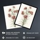 image 2 of Six Carnations Vintage Illustration Teyler Framed Wall Art Print 12X16"