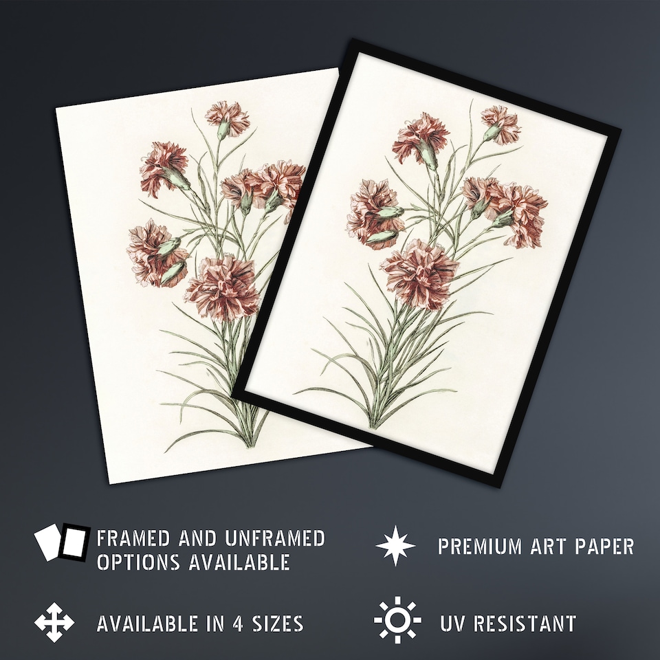 image 1 of Six Carnations Vintage Illustration Teyler Framed Wall Art Print 12X16"