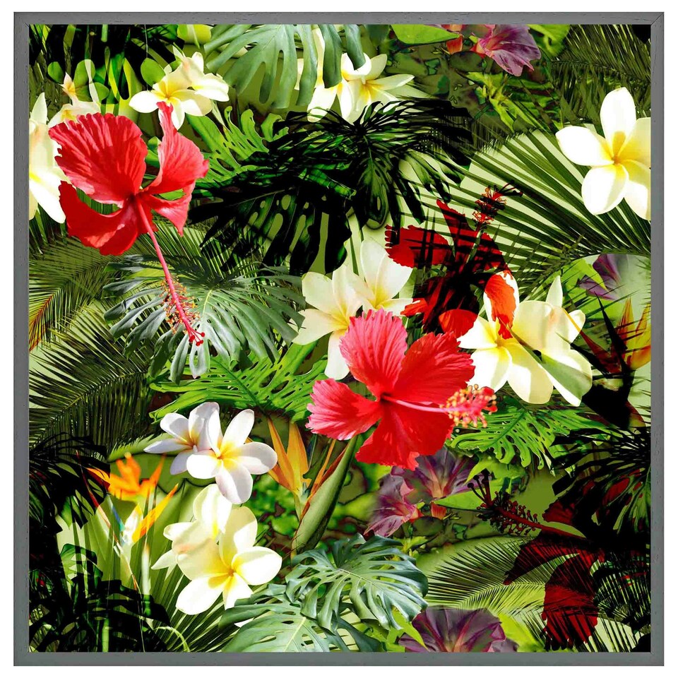 image 1 of Tropical foliage (Picutre Frame) Brown | Oak | XL