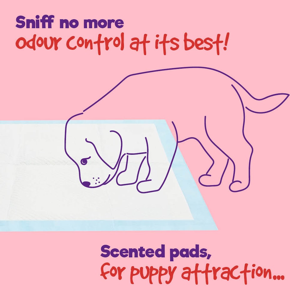 image 1 of Puppy Dog Kitten Toilet Training Pads Pack of 50 Medium