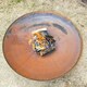 image 5 of Corten Steel Fire Pit & Outdoor Water Bowl Round 120cm