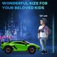 image 8 of HOMCOM Lamborghini SVJ 12V Ride-On Car w/ Lights Music Remote 3-8 Yrs Green