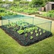 image 2 of GardenSkill Fruit & Vegetable Cage Kit with Insect Mesh 1.25m x 0.625m H - Quick Build Garden Crop Protection Frame for Brassicas, Raised Beds