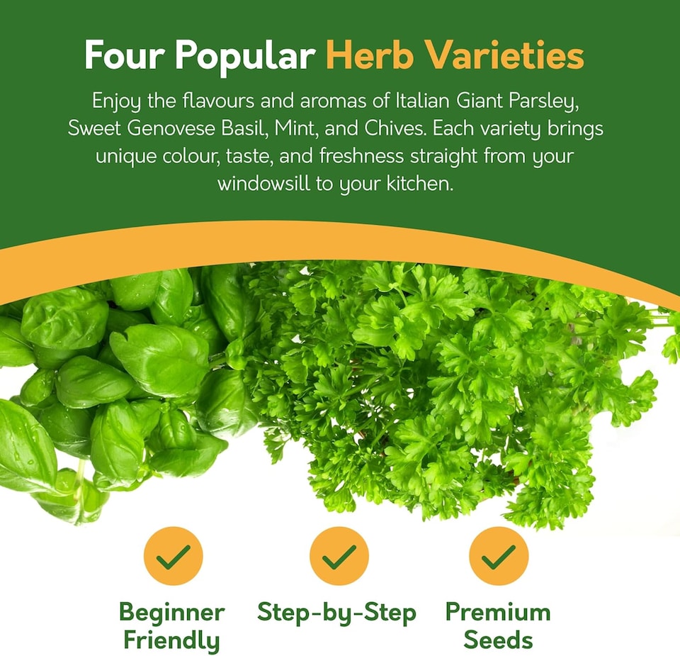 image 1 of Pronto Seed Grow Your Own Herb Kit with Galvanised Buckets - Herb Bucket Duo | Multi